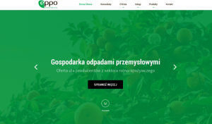 Eppo - layout, wdrożenie wordpress