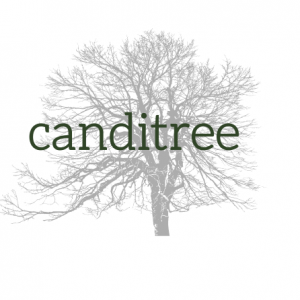 canditree logotype