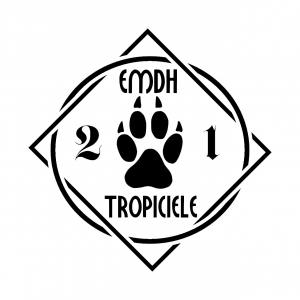 Logo Tropiciele