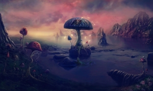 Mushroom Land