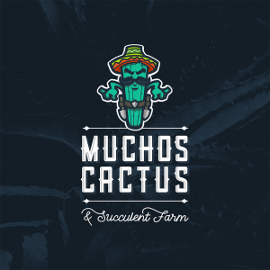 Mucho\'s Cactus