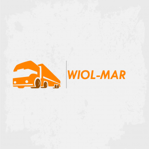 logo dla firmy transportowej